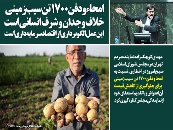 عکس‌نوشته/امحاء و دفن 1700 تن سیب‌زمینی برای جلوگیری از کاهش قیمت