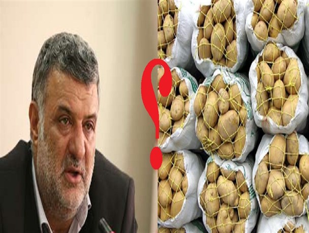 عضو کمیسیون کشاورزی: حجتی امروز برای پاسخ به چرایی امحا سیب‌زمینی‌ها به مجلس می آید