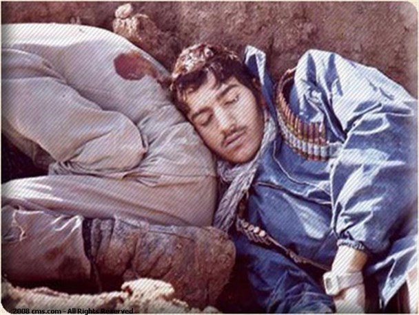 شهدایی که بی ادعا رفتند