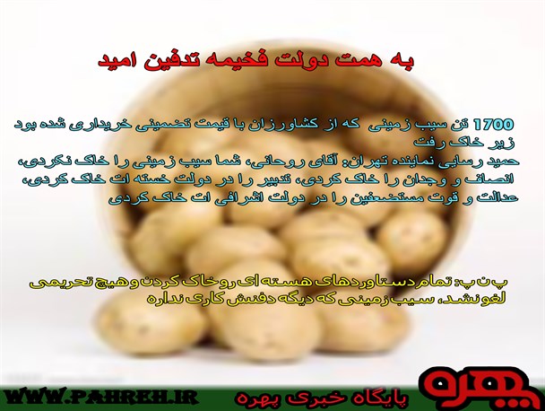 عکس‌نوشته/ماجرای امحاء و دفن ۱۷۰۰ تن سیب‌زمینی در فارس