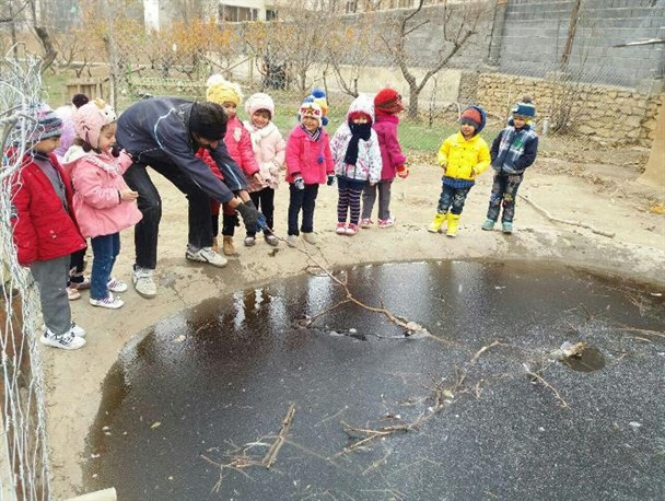 مدرسه ای برای دوستی کودکان با زمین/ طبیعت بزرگترین معلم کودکان در این مدرسه