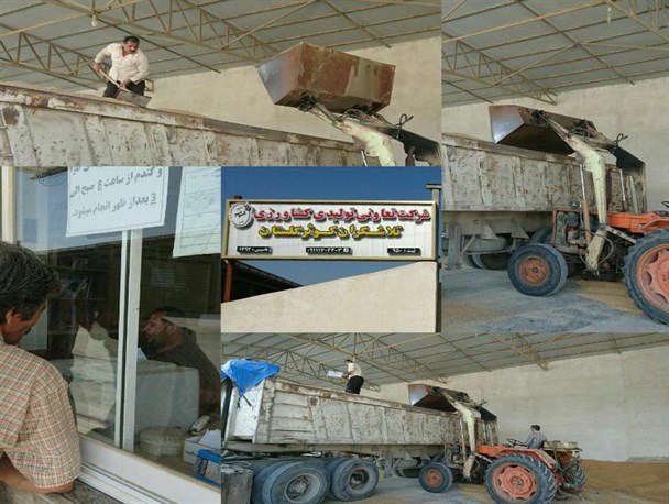 مسئولان، شرکتهای تعاونی خدمات رسان کشاورزی را دریابند