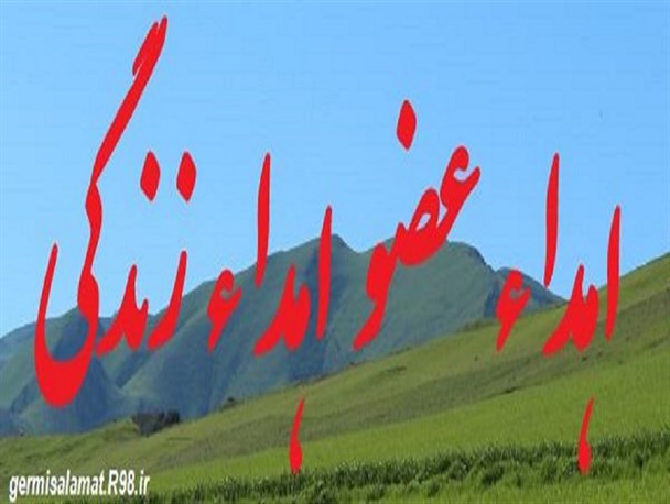 اعضاء جوان 18 ساله اهل گرمی اهدا شد