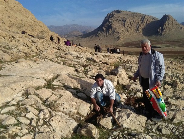 کوه مدبق قلعه تل در قالب طرح ملی جنگلانه زیر کشت رفت+ عکس