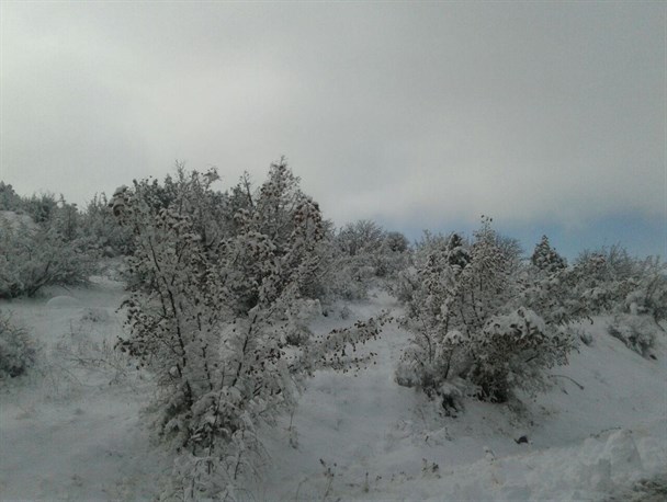 جلوه زمستانی مناطق حفاظت شده خلخال