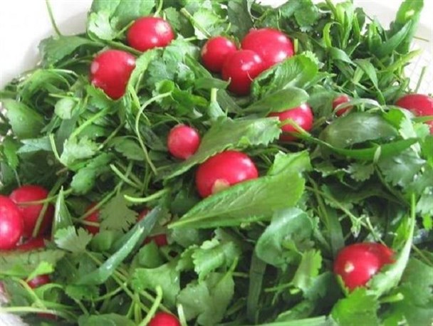 سبزی خوردن ارگانیک در 15واحد روستایی استان تولید می‌شود