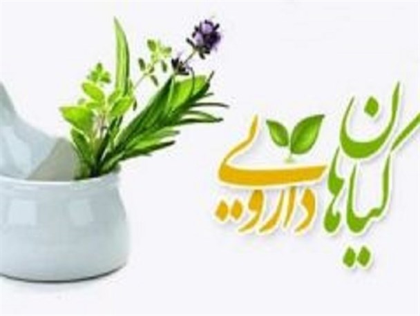 تشکیل اولین شرکت تعاونی گیاهان دارویی استان اصفهان در شهرستان دهاقان