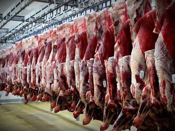 پاسخگویی به ۲۰ درصد از تقاضای بازار گوشت قرمز استان طی سال جاری/توزیع دوباره گوشت قرمز و سفید