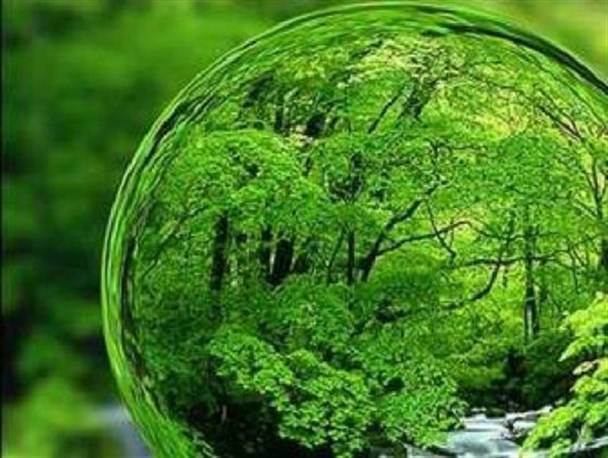 فرهنگ‌سازی محیط زیست نیازمند ترویج در شبکه‌های اجتماعی