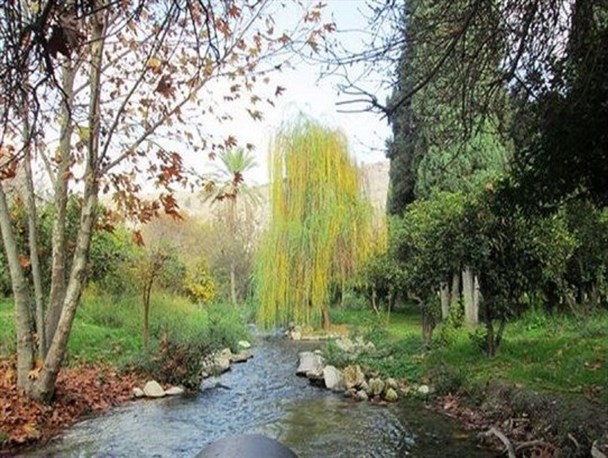 زیبایی های زمستان در شاخ و برگ درختان مجنون + تصاویر