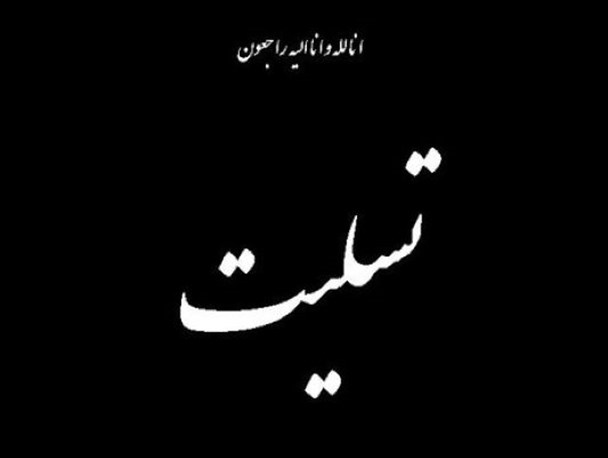 مسئولین و اقشار مختلف مردم شهرستان خاش شهادت جمعی از آتش نشانان فداکار در حادثه پلاسکو را تسلیت گفتند