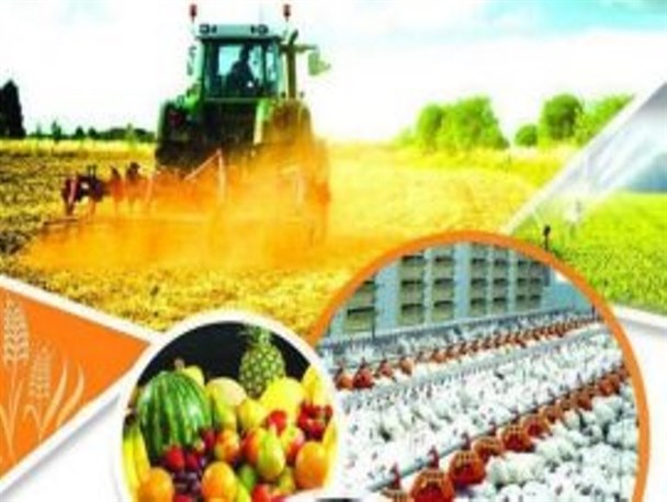 ۴ کشاورز سردشتی نمونه استانی شدند