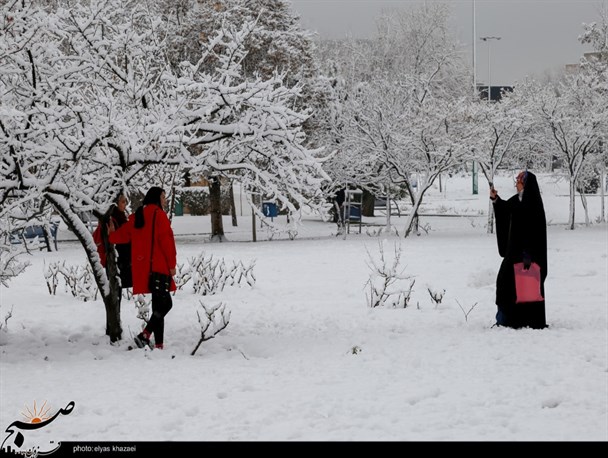 خودنمایی زمستان در قزوین/ بارش برف موجی از شادی را به وجود آورد