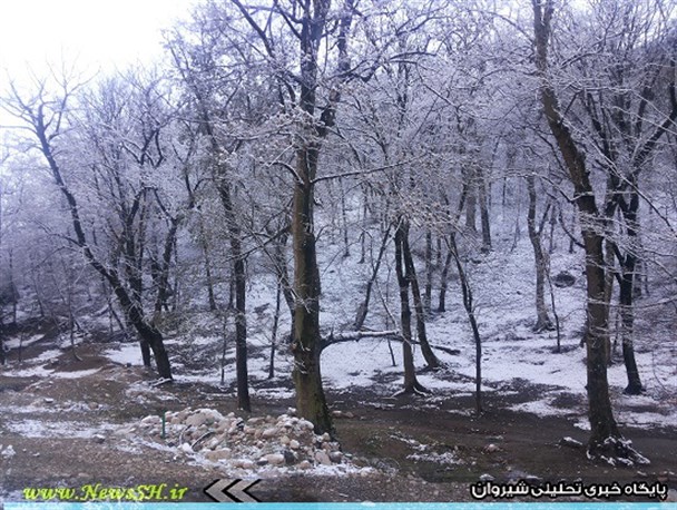 تصاویری از شگفتی های برف در زمستان در خراسان شمالی