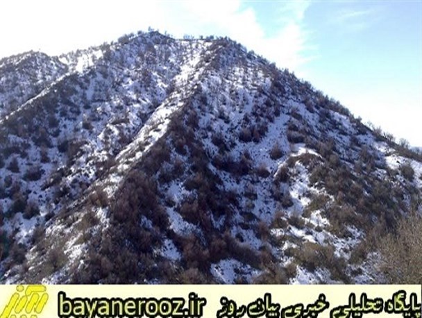 ریز برف ها ،ریز گردها را خوردند/عشایر پلدختر در محاصره برف
