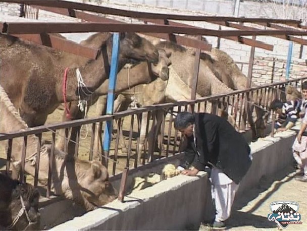 بسیجی خاشی؛ به دنبال تحقق اقتصاد مقاومتی