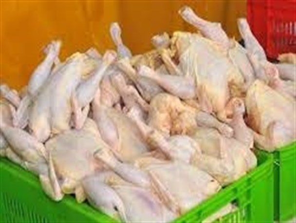 پنج هزار تن گوشت سفید سالانه در آبدانان تولید می شود