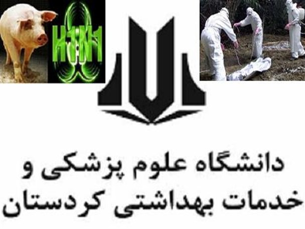 شایعات مربوط به شیوع آنفلانزا در کردستان کذب محض است