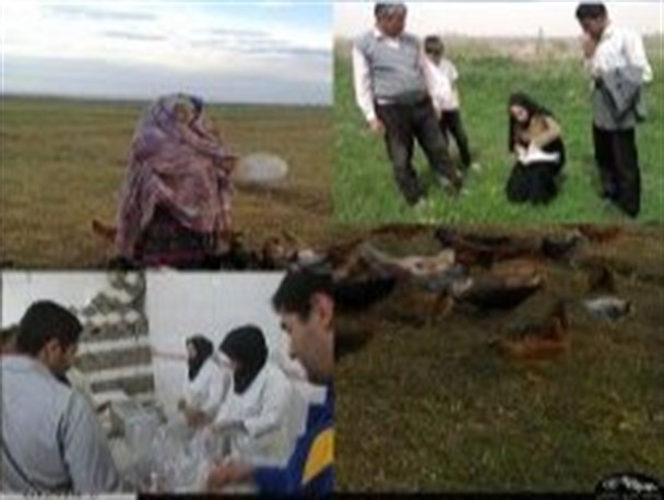 نقش بانوان اردبیلی در تحقق اقتصاد مقاومتی +تصاویر