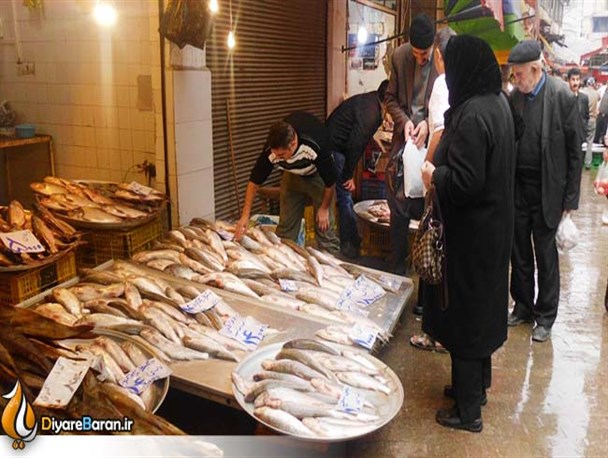 گزارش تصویری/ بازار ماهی فروشان رشت