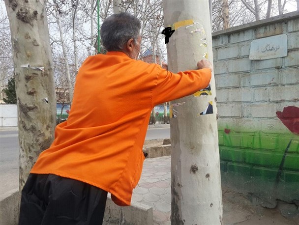 نقض قانون برخی کاندیداها که دامن گیر فضاهای سبز می شود