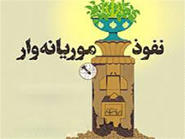 موریانه های دیروز حکومت امام حسن (ع)، براندازان نرم امروز