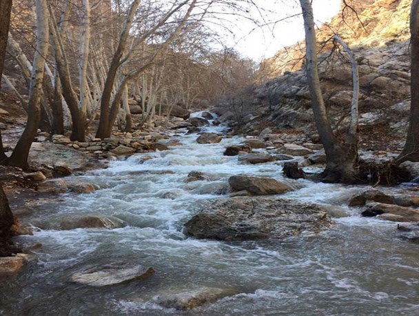 طبیعت زیبای استهبان به روایت تصویر
