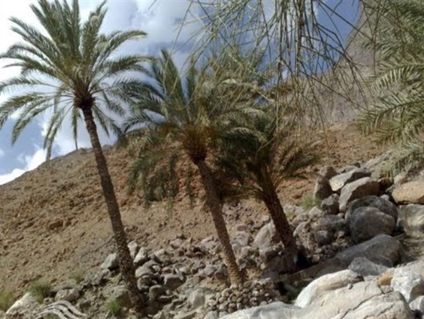 کوه بیرک مهرستان با جاذبه‌های طبیعی منحصر به فرد آماده پذیرایی از گردشگران است