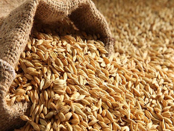 نارضایتی دامداران شهر اسفدن ازتوزیع ناعادلانه نهاده جو یارانه ای