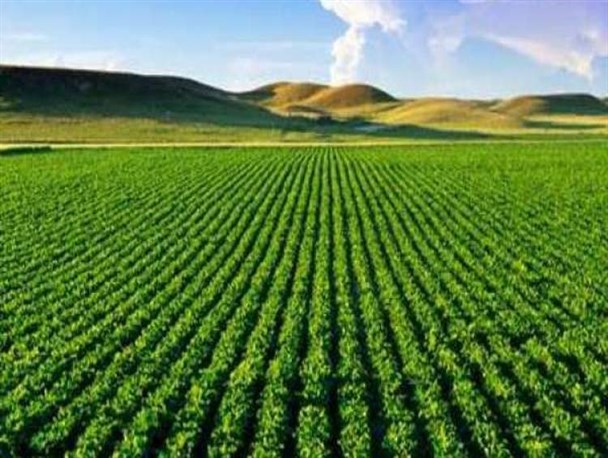 فارسان دشت ممنوعه ندارد/ ۳ هزار هکتار از اراضی شهرستان فارسان به سیستم آبیاری نوین مجهز است