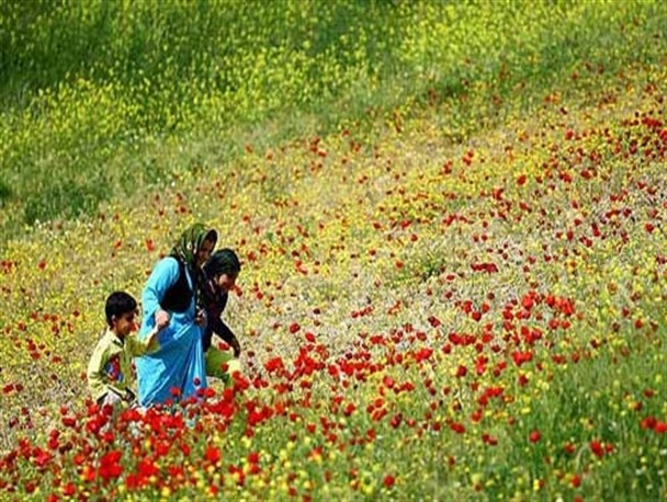 چرا کُردستان را برای گردشگری انتخاب کنیم؟
