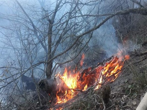 حریق در جنگل‌های «الیمستان» آمل/ تلاش برای مهار آتش ادامه دارد
