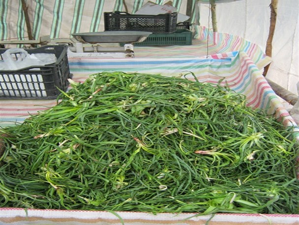 بازار فروش گیاهان خوراکی و دارویی بهاری در دالاهو رونق گرفته است
