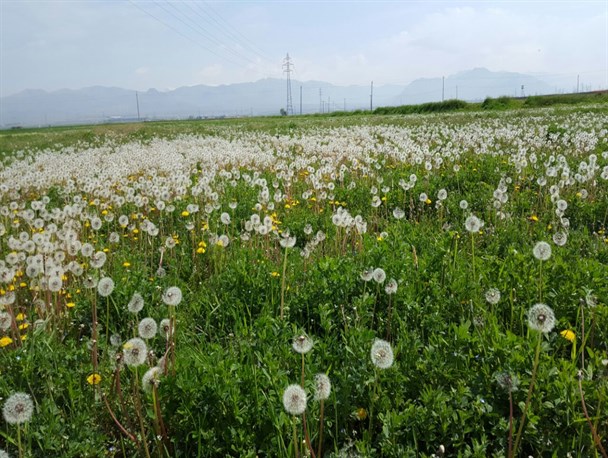 زیبایی های روستای زرگر در قاب تصویر نگاه آبیک