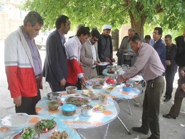 برگزاری جشنواره غذای سالم در سرپلذهاب/ تغذیه سالم در پیشگیری از بیماریها نقش مهمی دارد