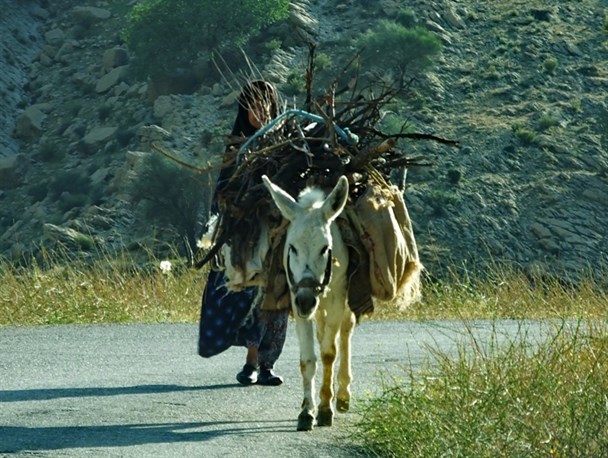 لذت زندگی درروستای مارین گچساران/ماسوله جنوب کشور به روایت تصویر