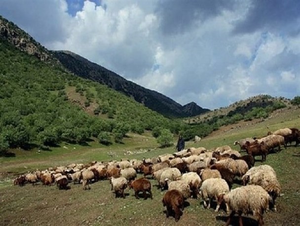 عشایر اردبیل از کوچ زودهنگام خودداری کنند