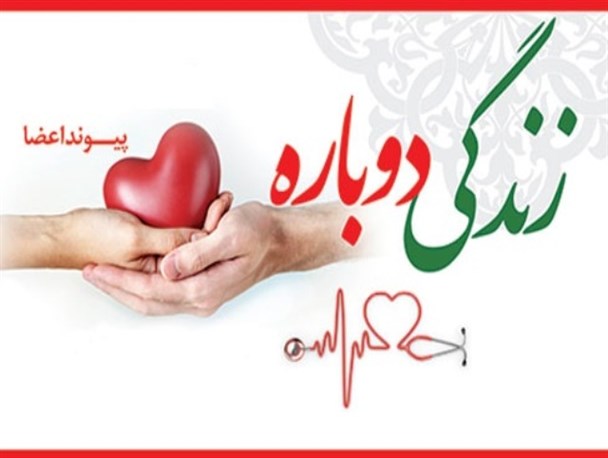 اهدا عضومرد قزوینی جان چند بیمار را نجات داد