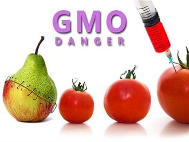 محصولات تراریخته تهدیدی برای سلامتی