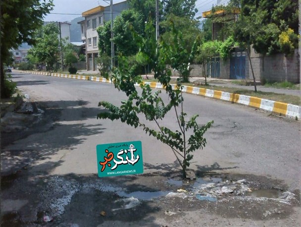 اهالی لنگرود به عملکرد شهرداری اعتراض کردند  + تصویر