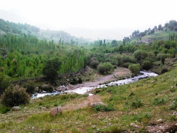 طبیعت دل انگیز بهاری روستای طسوج به روایت تصویر