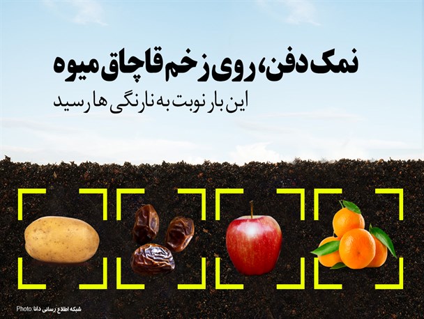 پوستر/نمک دفن، روی زخم قاچاق میوه