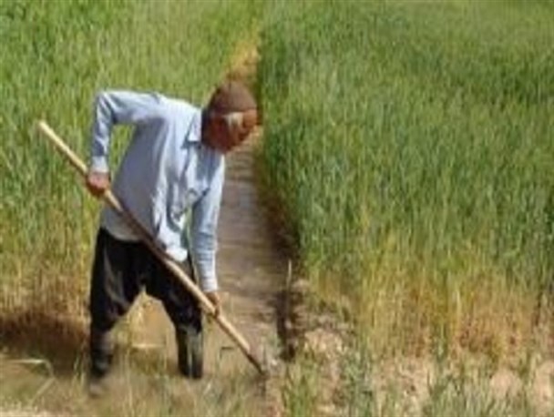 بستن آب زاینده رود باید طبق نظر کارشناسان جهاد کشاورزی صورت گیرد/ تنش آبی خسارت زیادی به کشاورزان شرق اصفهان وارد کرد