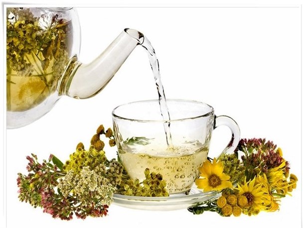 با خواص اعجاب‌انگیز گیاهان دارویی آشنا شویم