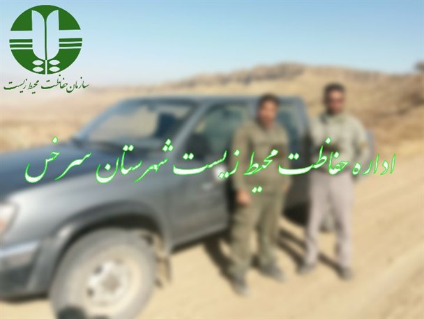 شناسایی عاملان ضرب‌وجرح مأموران محیط زیست در سرخس