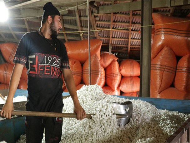 راه اندازی صنایع ابریشم گیلان بعد از ۱۲ سال تعطیلی/ ضرورت ورود شرکت های دانش بنیان در تولید فراورده های نوین ابریشمی