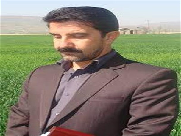 مبارزه با علف های هرز و سن مضر غلات در اراضی کشاورزی شهرستان کرمانشاه