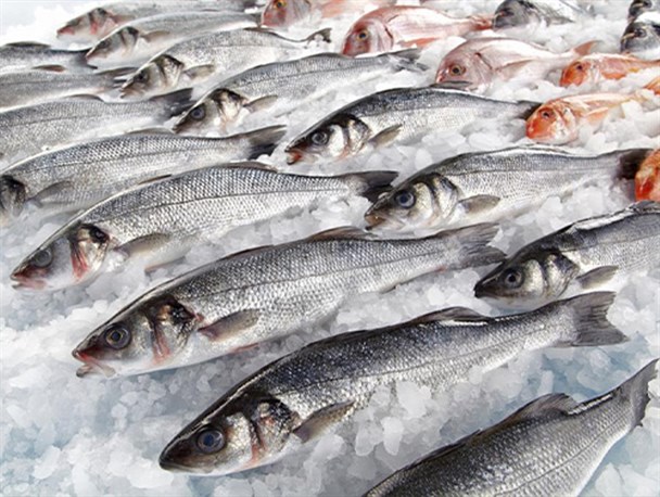 ماهی با وجود افزایش قیمت از بازار لنده پر کشید