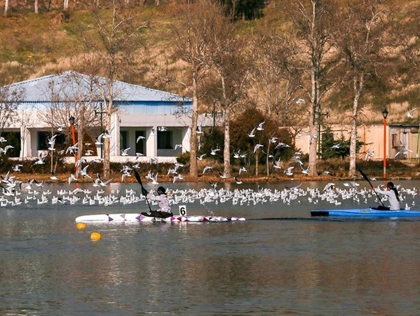 معرفی برترین‌های مسابقات قایقرانی قهرمانی دانشجویان کشور و انتخابی تیم ملی آقایان