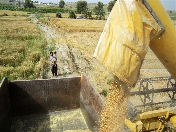 تعاونی‌های فراگیر توسعه روستایی در هرمزگان تشکیل می شود